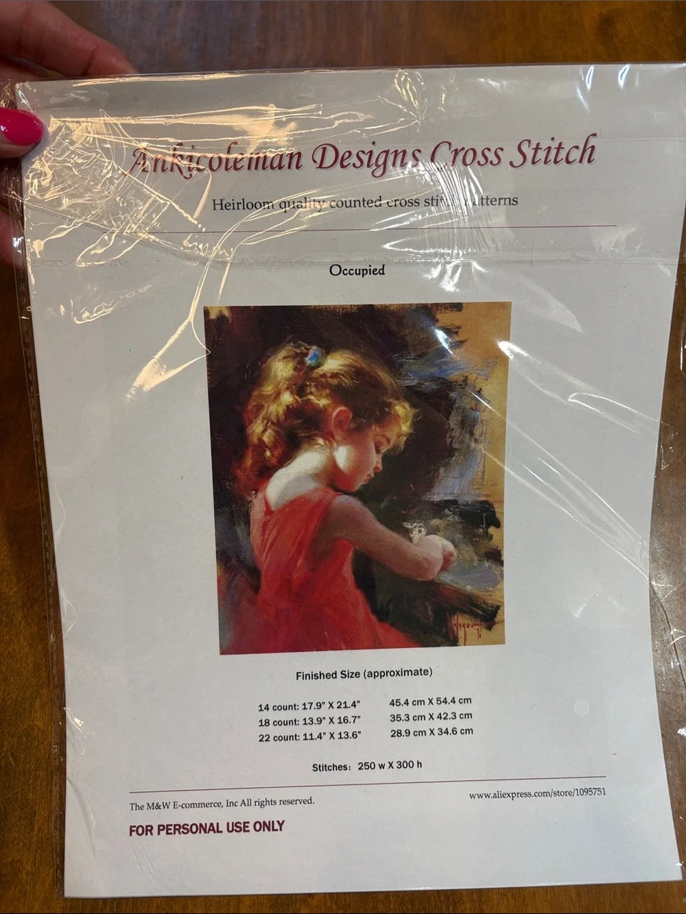 Ankicoleman  Designs Cross Stitch Pattern - Girl in Red Dress “Occupied”